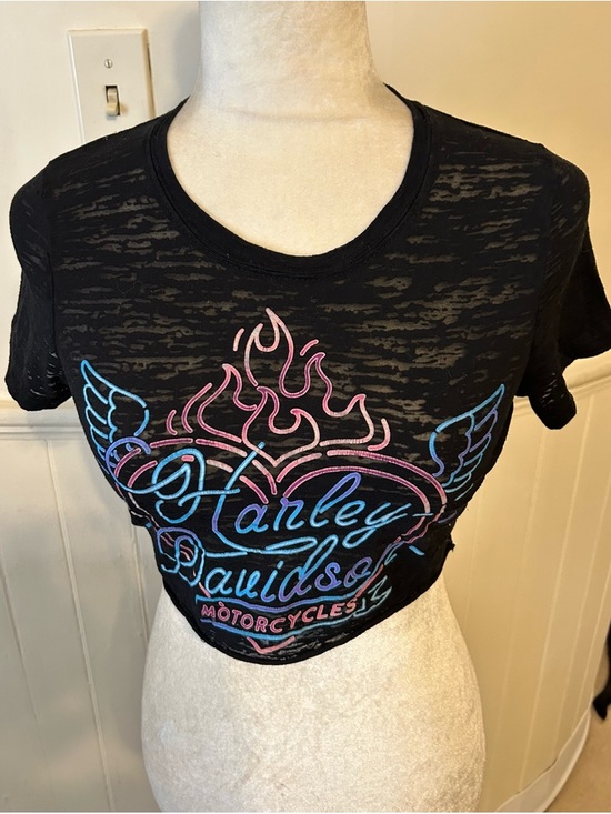 Harley-Davidson Tops - Y2K Harley Davidson Avalanche Denver Heart Flame Burnout Mesh Baby Tee /XS